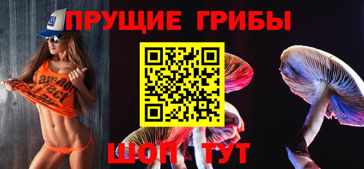 Псилоцибиновые грибы Psilocybe  где купить наркоту  Тихвин  Вход с VPN 