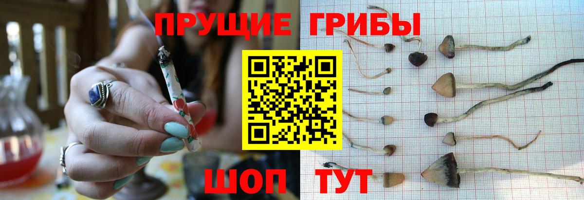 Галлюциногенные грибы мухоморы Тихвин